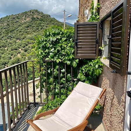 Studio Terrasse Vue Mer Clim Wifi Parking Partinello 외부 사진